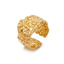 12113 Ring 