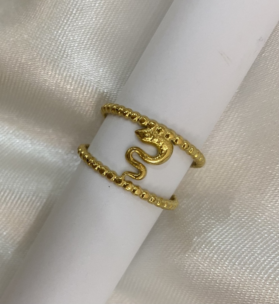 12068 Ring
