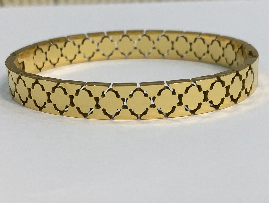 [13068] Van Bangle